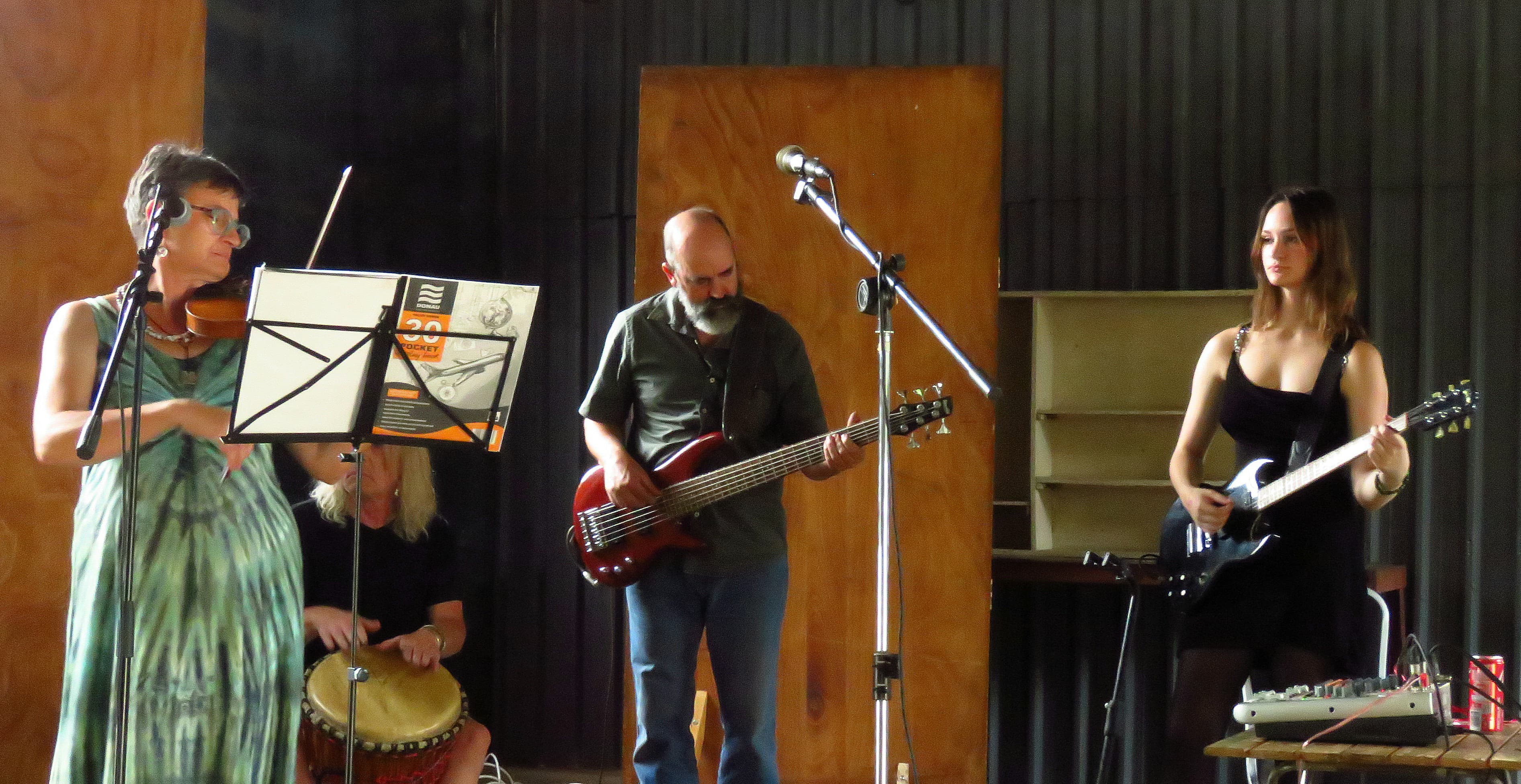 Music at the What the Fig arts festival 2025